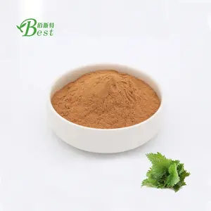 Pure nettle root extract/stinging nettle extract powder 4:1