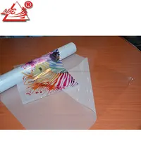 L & B eko Solvent yazdırılabilir mürekkep püskürtmeli Ultra şeffaf şeffaf kendinden PVC yapıştırıcısı vinil rulolar Film pencere işareti, pencere dekorasyonu