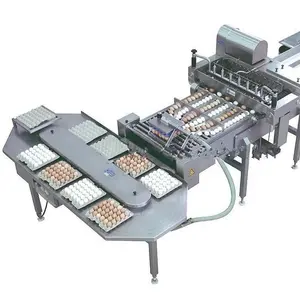 Ingrandire l'immagine processo alimentare macchina per rottura tuorlo d'uovo separato e nero/separazione liquido uovo line