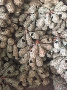 Yaban hayatı kuş asılı köklü cep ahşap çatı ile - Product Image 2