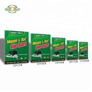 Produits les plus vendus de Mustrap : Piège à colle <span class=keywords><strong>pour</strong></span> rats <span class=keywords><strong>et</strong></span> <span class=keywords><strong>souris</strong></span>, efficace <span class=keywords><strong>et</strong></span> humain, <span class=keywords><strong>pour</strong></span> le printemps, <span class=keywords><strong>meilleur</strong></span> appât - Product Image 2