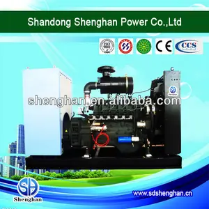 china lieferant ricardo 25kw Methangas magnetischen generator