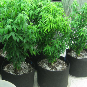 Sacs de culture en tissu, 1000 pièces, valise de culture biodégradables pour <span class=keywords><strong>plantes</strong></span> de jardin - Product Image 4