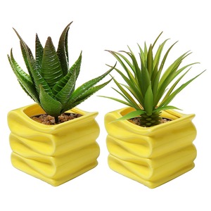 Artificiale <span class=keywords><strong>Mini</strong></span> Succulente e <span class=keywords><strong>Piante</strong></span> di Cactus in Bianco a Forma di Cubo Pentole - Product Image 6