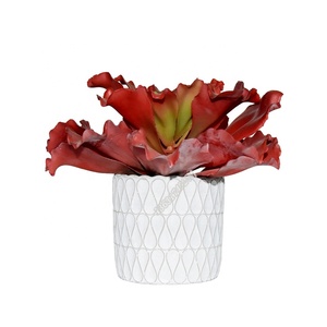 Real Touch Cây Nhựa Lớn Nhân Tạo <span class=keywords><strong>Echeveria</strong></span> Mọng Nước Để Trang Trí Chậu - Product Image 4