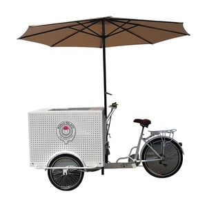 TUNE-bicicleta eléctrica personalizada con nevera, bicicleta de carga con helado a la venta - Product Image 6