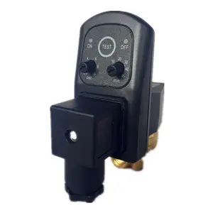 AC220V Brass 1/4 Size Automatic Air Solenoid Valve With Timer