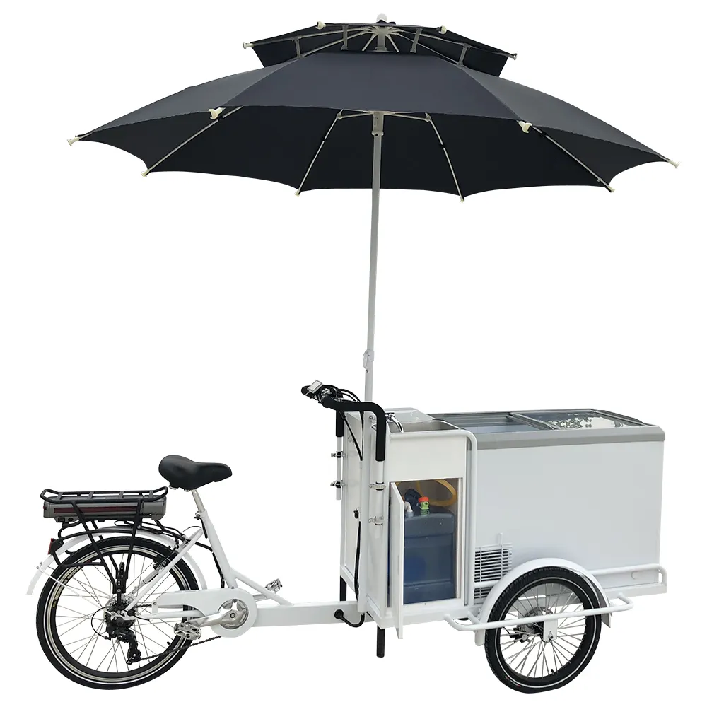 Tricycle électrique fonctionnel, chariot de distribution d'aliments, 10 l, <span class=keywords><strong>congélateur</strong></span> DC, service de crème glacée