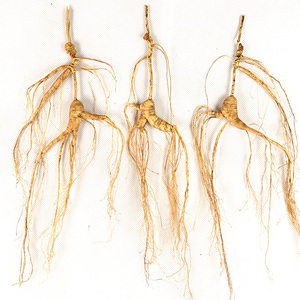 Polvo y cápsulas de ginseng seco Sabor dulce y amargo para adultos - Product Image 2
