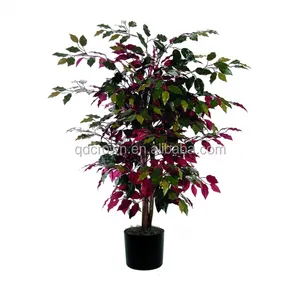 Indoor Banyan Met Wortels Echt Hout Kofferbak Kunstmatige Ficus Bonsai Plant Boom