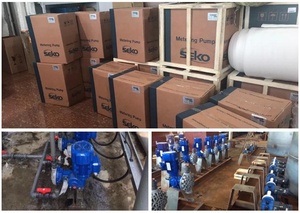 PAC <span class=keywords><strong>PAM</strong></span> Flocculant Nước Thải Cơ Khí Polymer Định Lượng Bơm Định Lượng - Product Image 4