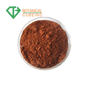 Thực vật Tự Nhiên Pine Bark Số Lượng Lớn <span class=keywords><strong>Proanthocyanidins</strong></span> 95% <span class=keywords><strong>OPC</strong></span> Pháp Pine Bark Extract Bột - Product Image 5