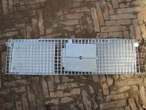 Fabrika doğrudan satış için kullanılan kafes tuzak çakal sansar kedi tuzak kafesi çift kapı giriş katlanabilir hayvan tuzağı kafes - Product Image 2