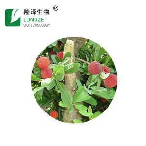 Thực phẩm lớp tinh khiết waxberry vỏ vỏ não myricae chiết xuất Quế cây xương rồng chiết xuất thảo dược polyphenol bayberry vỏ cây chiết xuất có thể - Product Image 3