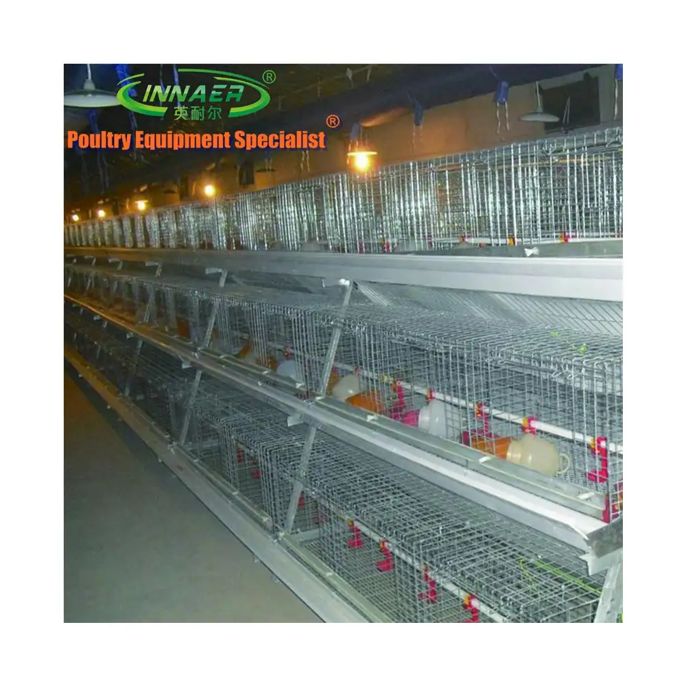 Automatisches Fütterung system für Geflügels ch ichten/Broiler