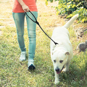 Correa de entrenamiento para perros, accesorio recomendado por Zugstopp, 170cm de largo, negro, B073XKN2YM, 1,0x170cm, 7 días - Product Image 6