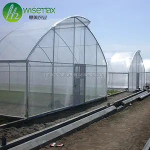Коммерческая оцинкованная стальная ферма, туннель, полиэтиленовые листы для теплиц