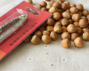 Noix de noisettes séchées en vrac, de haute qualité, biologique avec coquilles, noix de noisettes pour collation - Product Image 3