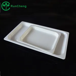 The Large oblong plate of melamine serving tray