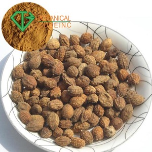 Sharpleaf Galangalフルーツエキス粉末Fructus alpiniaeoxyphyllaeエキス低価格。 - Product Image 2