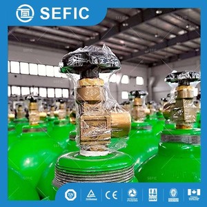 L'exportation vers L'amérique Du Sud ISO9809-3 40L 150bar Nitreux Oxyde Gaz <span class=keywords><strong>Argon</strong></span> <span class=keywords><strong>Bouteille</strong></span>/<span class=keywords><strong>Bouteille</strong></span> De Gaz <span class=keywords><strong>Prix</strong></span> - Product Image 5