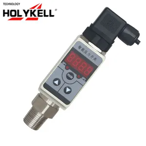 Holykell OEM חדש סוג מד לחץ משאבת מים, משאבת מים אלקטרוני לחץ מתג