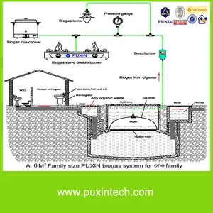 China Low-Cost-Biogas anlage mit Biogas ofen