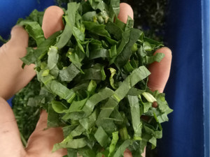 Công nghiệp xoắn ốc slicer rau/máy cắt khoai tây/rau mùi máy cắt - Product Image 4