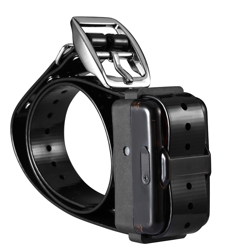 Black DT2200 Extral Dog Training Collar