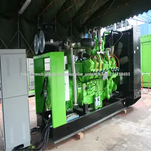50Hz 1mw générateur de biogaz