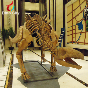 พิพิธภัณฑ์มาตรฐานสมจริงโครงกระดูกไดโนเสาร์ fossil replica อื่นๆไดโนเสาร์ Fossil Replica - Product Image 3
