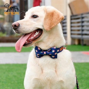 <span class=keywords><strong>Collar</strong></span> de mascota superventas, <span class=keywords><strong>collar</strong></span> de perro de oro rosa, <span class=keywords><strong>collar</strong></span> de entrenamiento hardwaredog - Product Image 6
