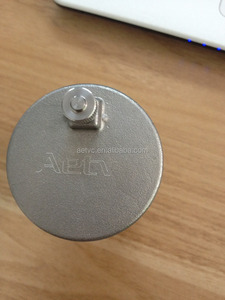 Kleine Roestvrij SteeL304/316 Automatische Ontluchter - Product Image 4