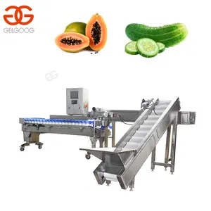Automatic Papaya Cucumber Sorting Machine Japan Cucumber Grading Machine