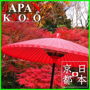 ชาเขียวออร์แกนิกญี่ปุ่นแท้ ได้รับการรับรอง ขายส่ง - Product Image 5