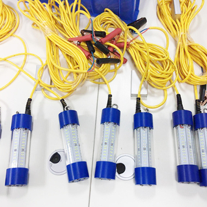 DC12v bajo luces LED de 100W recopilación de lámpara de luz blanca luz verde pesca pesca pesca de luces - Product Image 4