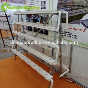 Shanghai Dehuan Système <span class=keywords><strong>Hydroponique</strong></span> NFT Pour La <span class=keywords><strong>Laitue</strong></span>, Strawbwrries - Product Image 6