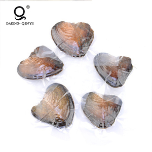 Oyster agricultura Venta al vacío AAA ronda Oyster <span class=keywords><strong>perla</strong></span> <span class=keywords><strong>precio</strong></span> - Product Image 4