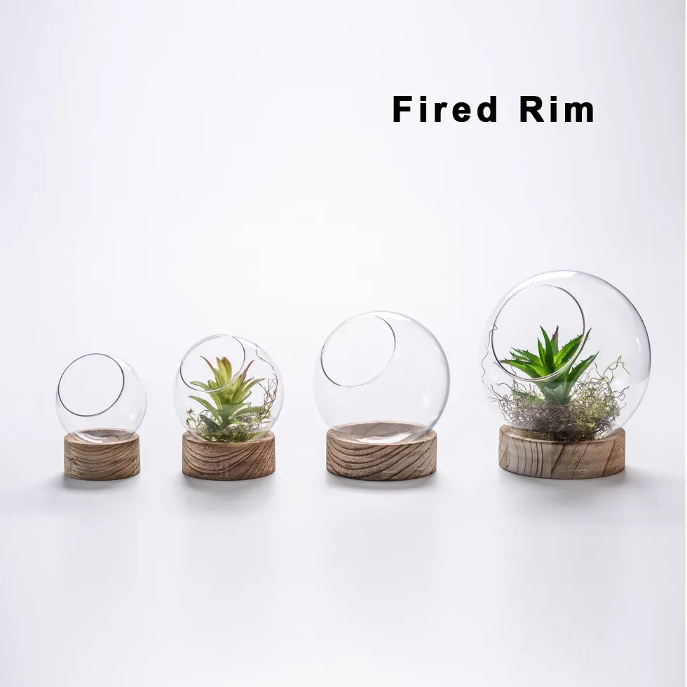 Moderne beliebte runde ball klarglas vase terrarium topf mit holzsockel für air pflanzen und micro landschaft