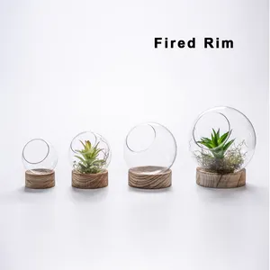 Moderno popolare palla rotonda trasparente vaso di vetro terrario vaso con base in legno per impianti di aria e micro paesaggio