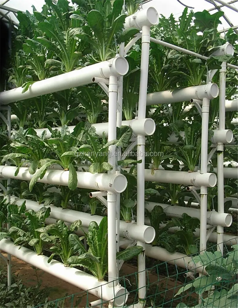 कृषि greenhouses प्रकार और ग्रीनहाउस हीड्रोपोनिक्स प्रणाली
