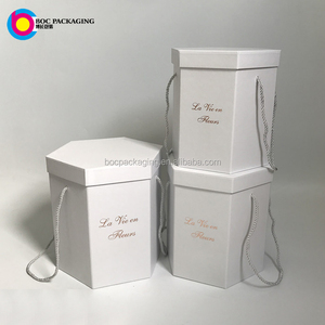 Không Có Hộp Hình Lục Giác Hoa Tối Thiểu - Product Image 1