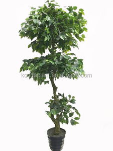 2017 Venta Caliente de Plata de La Decoración de Interior <span class=keywords><strong>Bonsai</strong></span> Ficus Artificiales - Product Image 5
