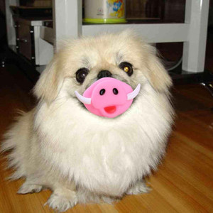 Uzun diş şekilli cadılar bayramı köpek oyuncaklar yumuşak Pet çiğnemek oyuncaklar komik zor gıcırtılı köpek oyuncak - Product Image 3