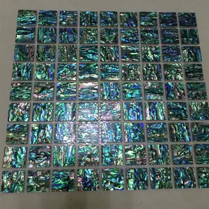 New Zealand Paua Shell Mosaic Tile Price, Seashell Backsplash Mosaic Tiles