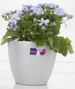 Bac de jardinage en plastique, pot de bureau et de sol, à jardinage automatique, de grande taille, pour loisirs, vente en gros, 2021 - Product Image 5