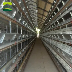 מפעל ישיר אספקת הטוב ביותר מחיר ביצת תרנגולות מטילות חקלאות עוף שכבה סוללה כלוב למכירה
