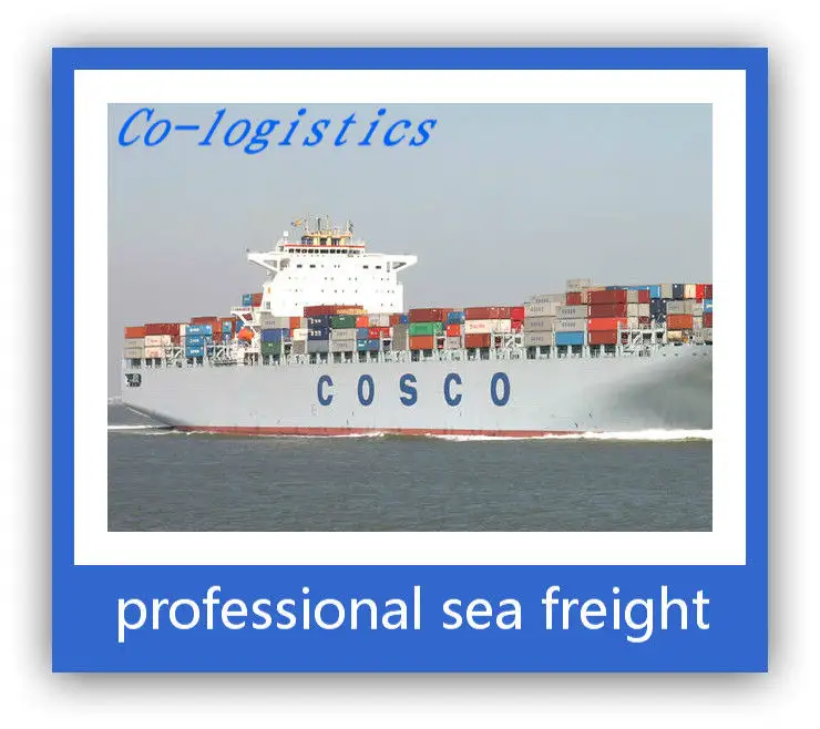 sea freight agent/forwarder shipping in China to santos--klause