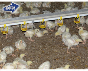 Construction Immobilier Maison De Ferme De Poulet Préfabriquée - Product Image 3