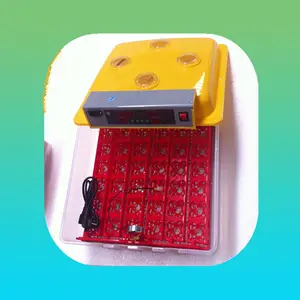 promotion 36 mini parrot egg incubator with multi-function egg turner tray